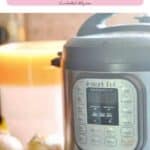 Instant Pot for freezer meals, perfect for new moms, easy meal prep.