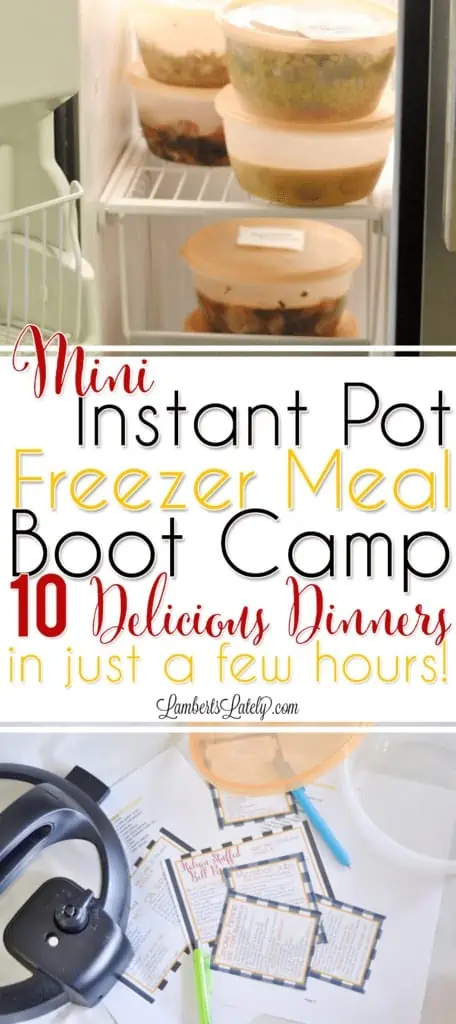 mini instant pot freezer meal boot camp; 10 delicious dinners in just a few hours.
