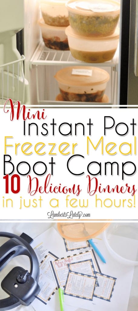 Mini Instant Pot Freezer Meal Boot Camp