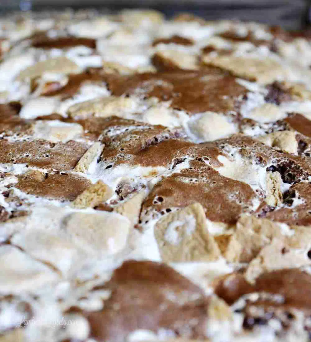 surface of a smores earthquake cake, showing marshmallows, chocolate, and graham cracker pieces.