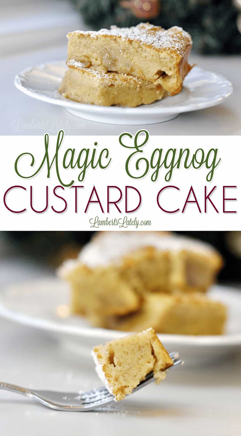 This easy recipe for Magic Eggnog Custard Cake takes one mix and makes a cake with three different textures - perfect for Christmas or other holiday celebrations and absolutely delicious! 