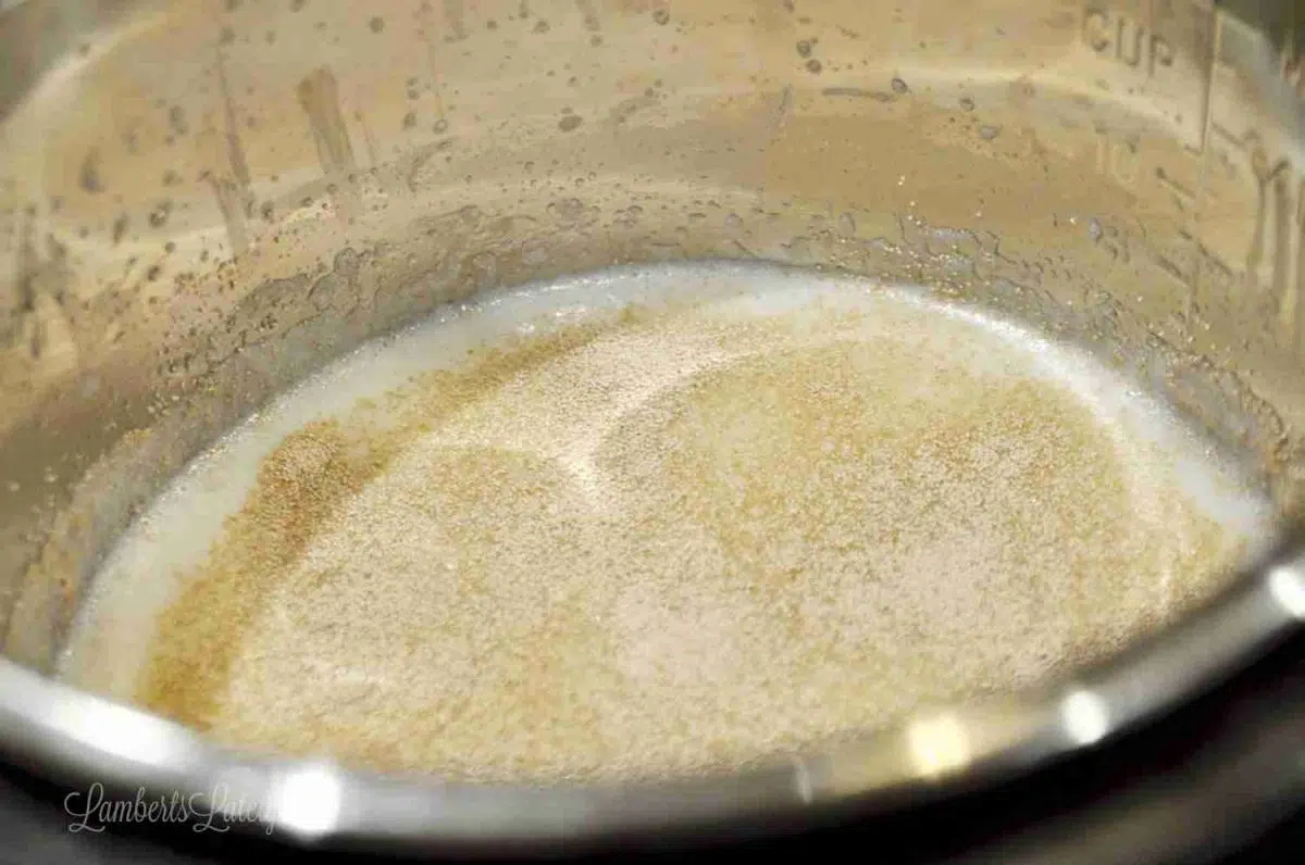 yeast sprinkled over milk mixture.