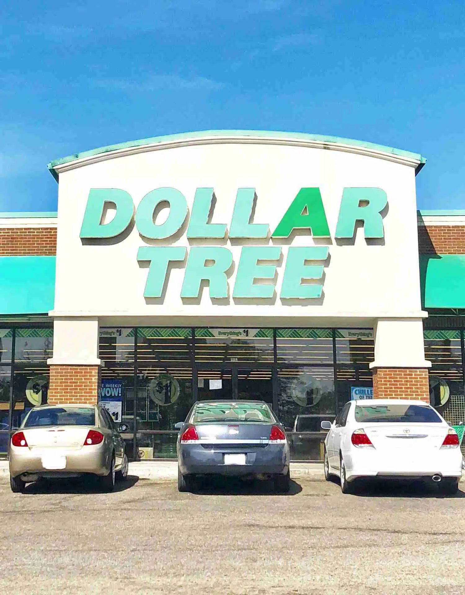 DOLLAR TREE VS. NAME BRAND CLEANING SUPPLIES 