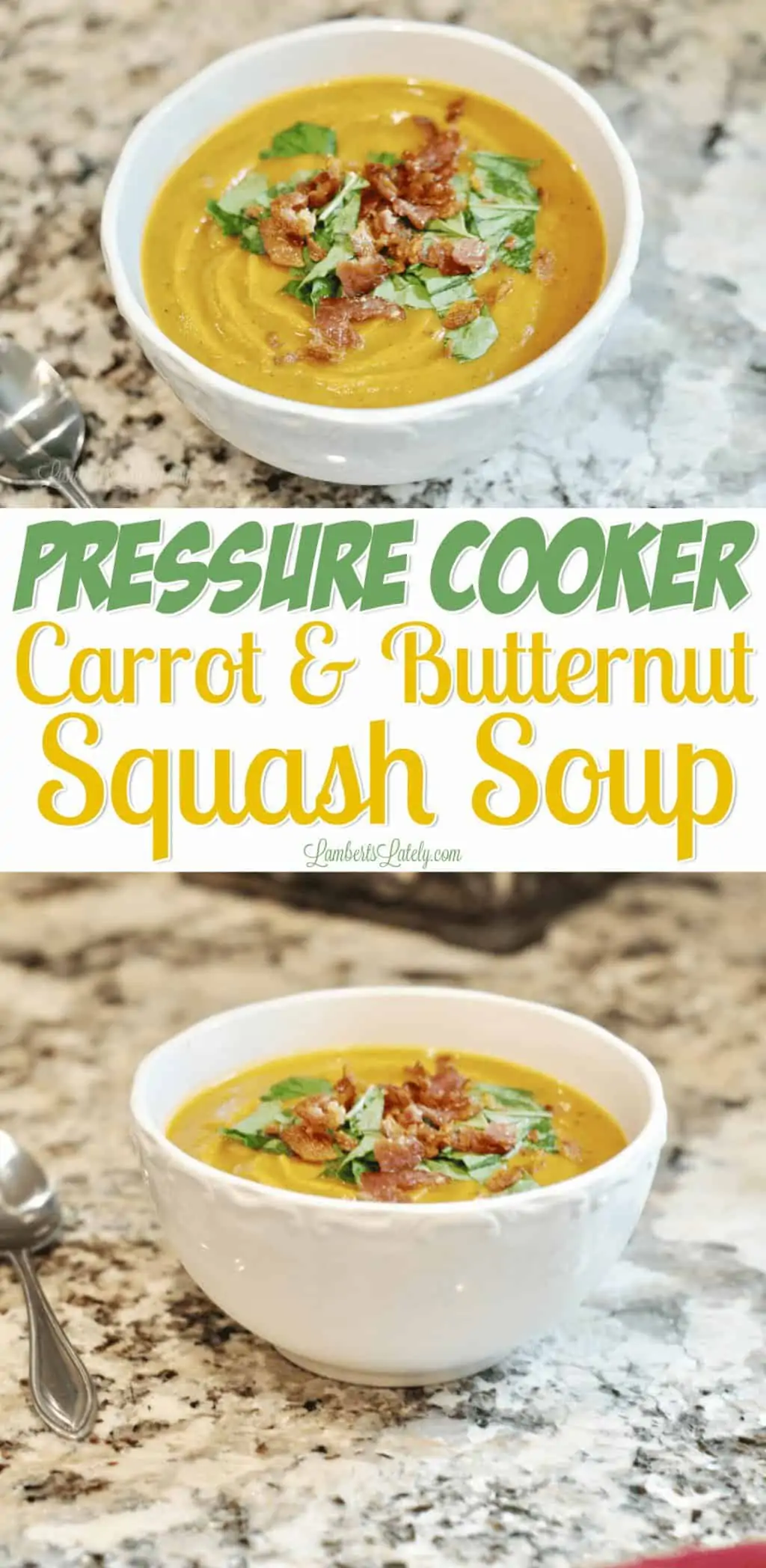 Instant Pot Butternut Squash & Carrot Soup