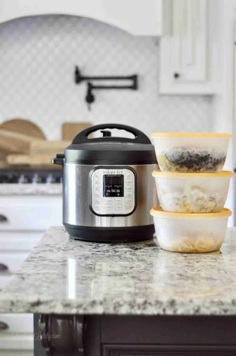 instant pot next to freezer meals stacked on a counter.