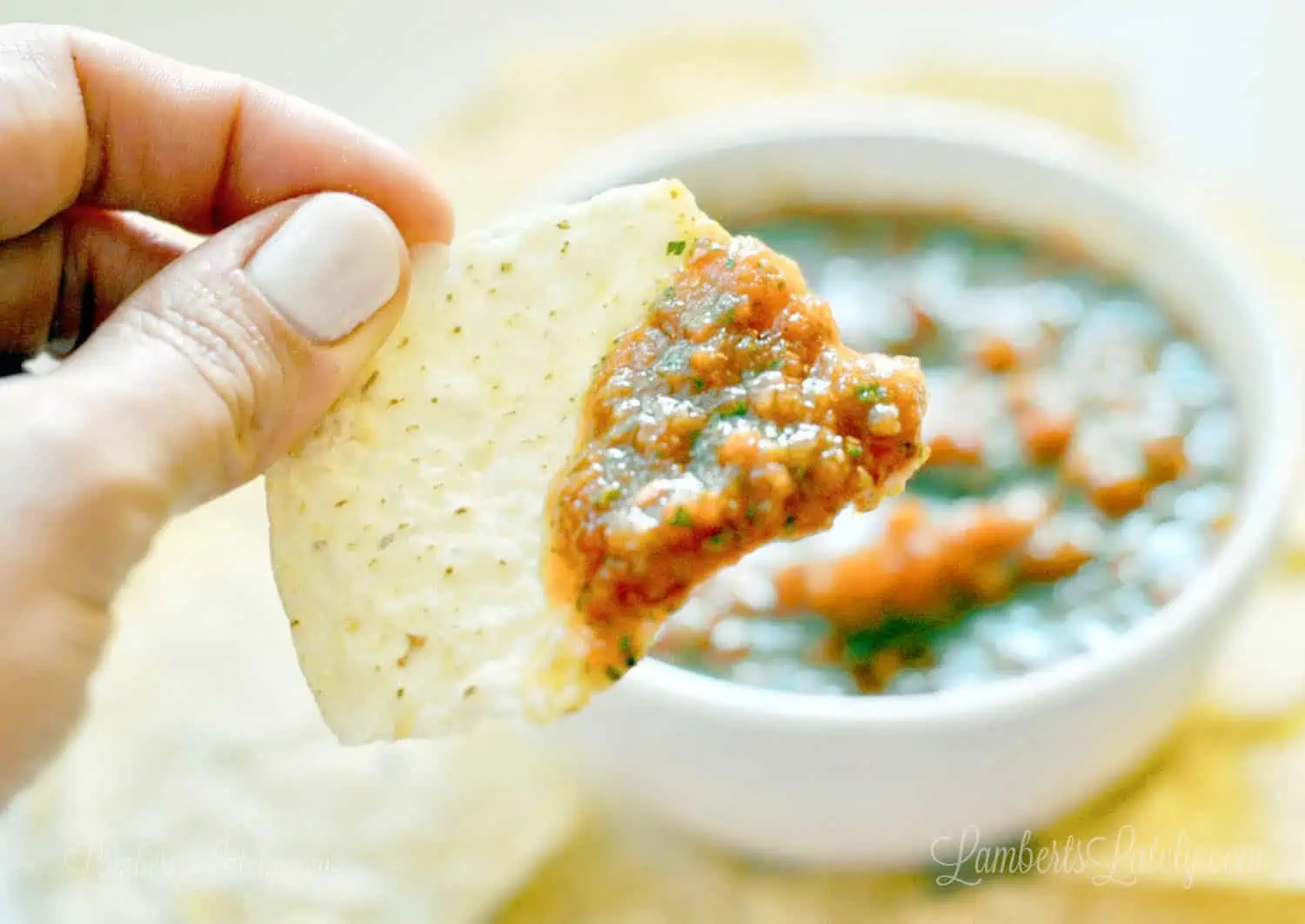 Mexican Restaurant Freezer Salsa Recipe (+ Video)