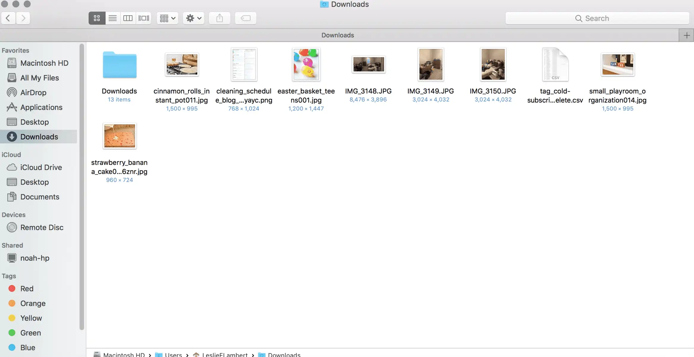 screenshot of downloads folder on a mac.