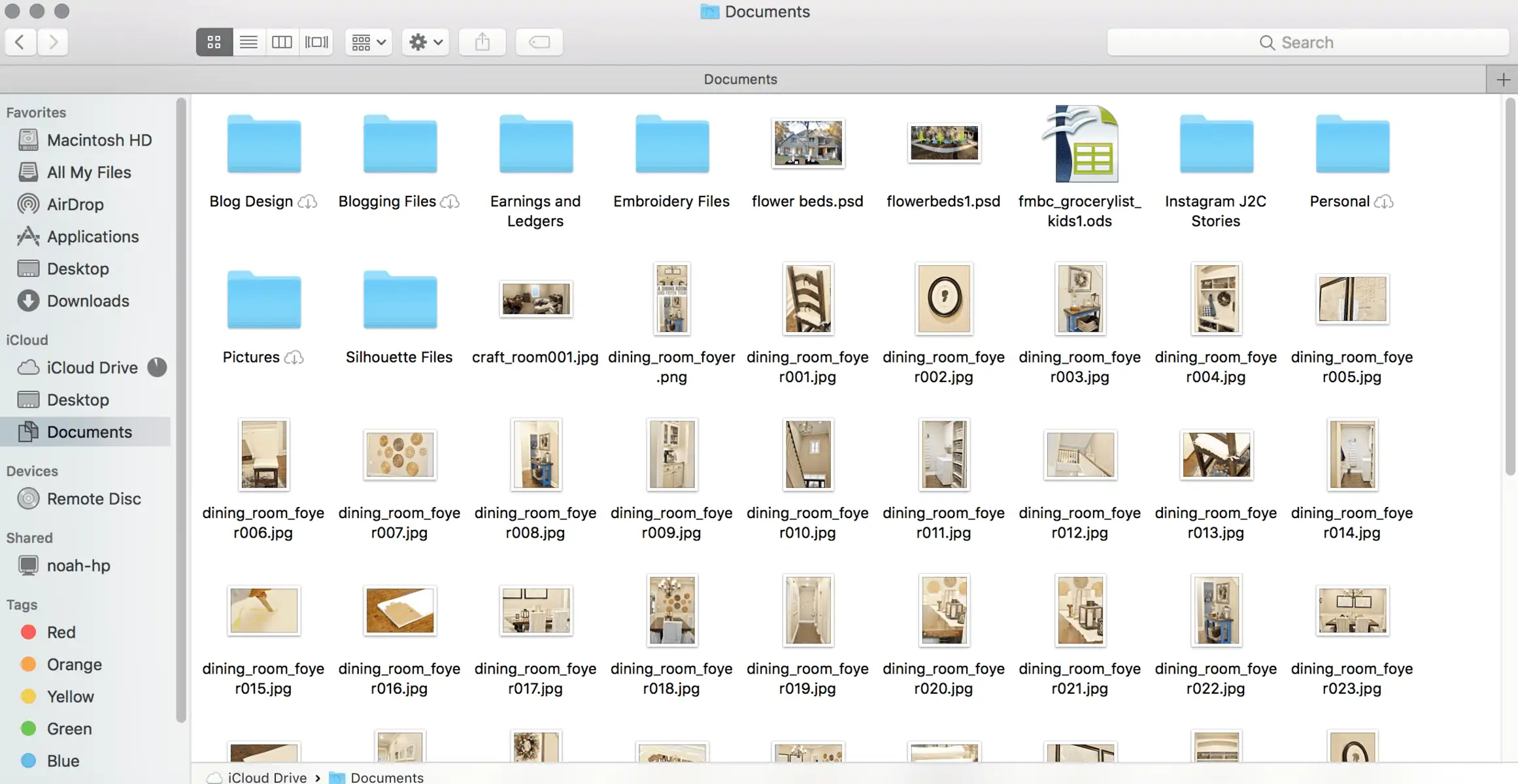 screenshot of documents folder on a mac.