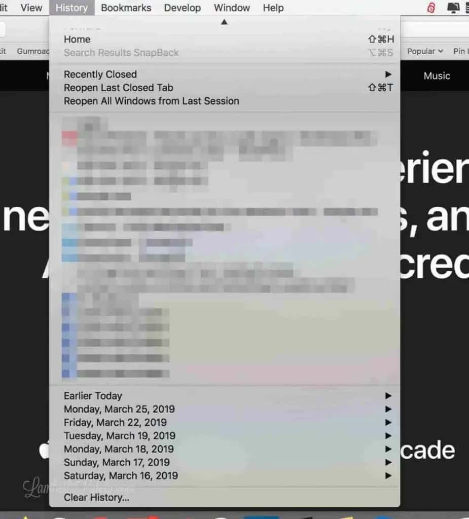 screenshot of history tab in safari.