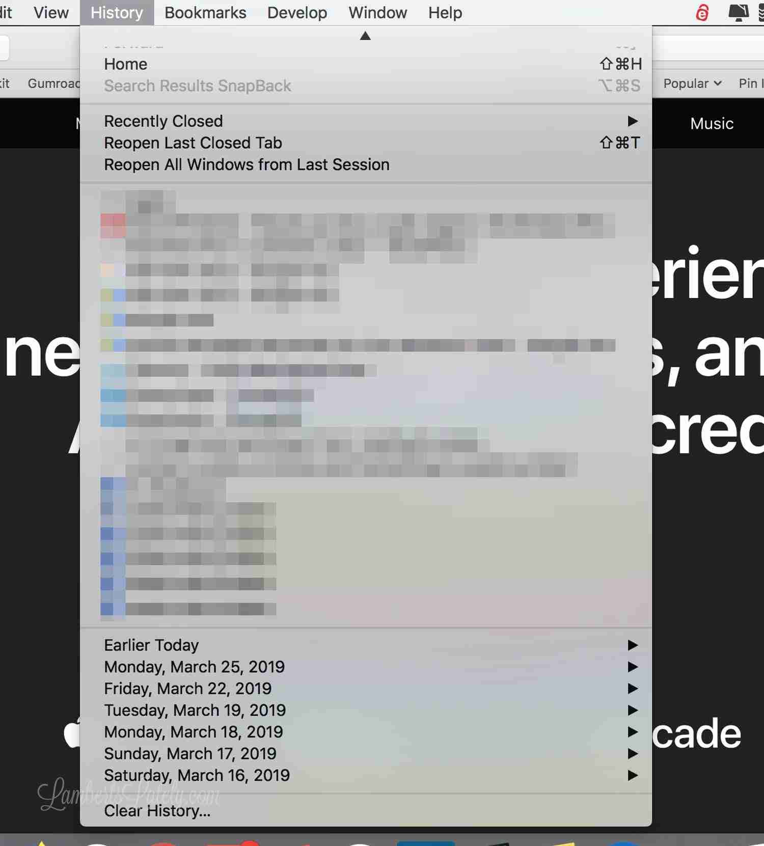 screenshot of history tab in safari.