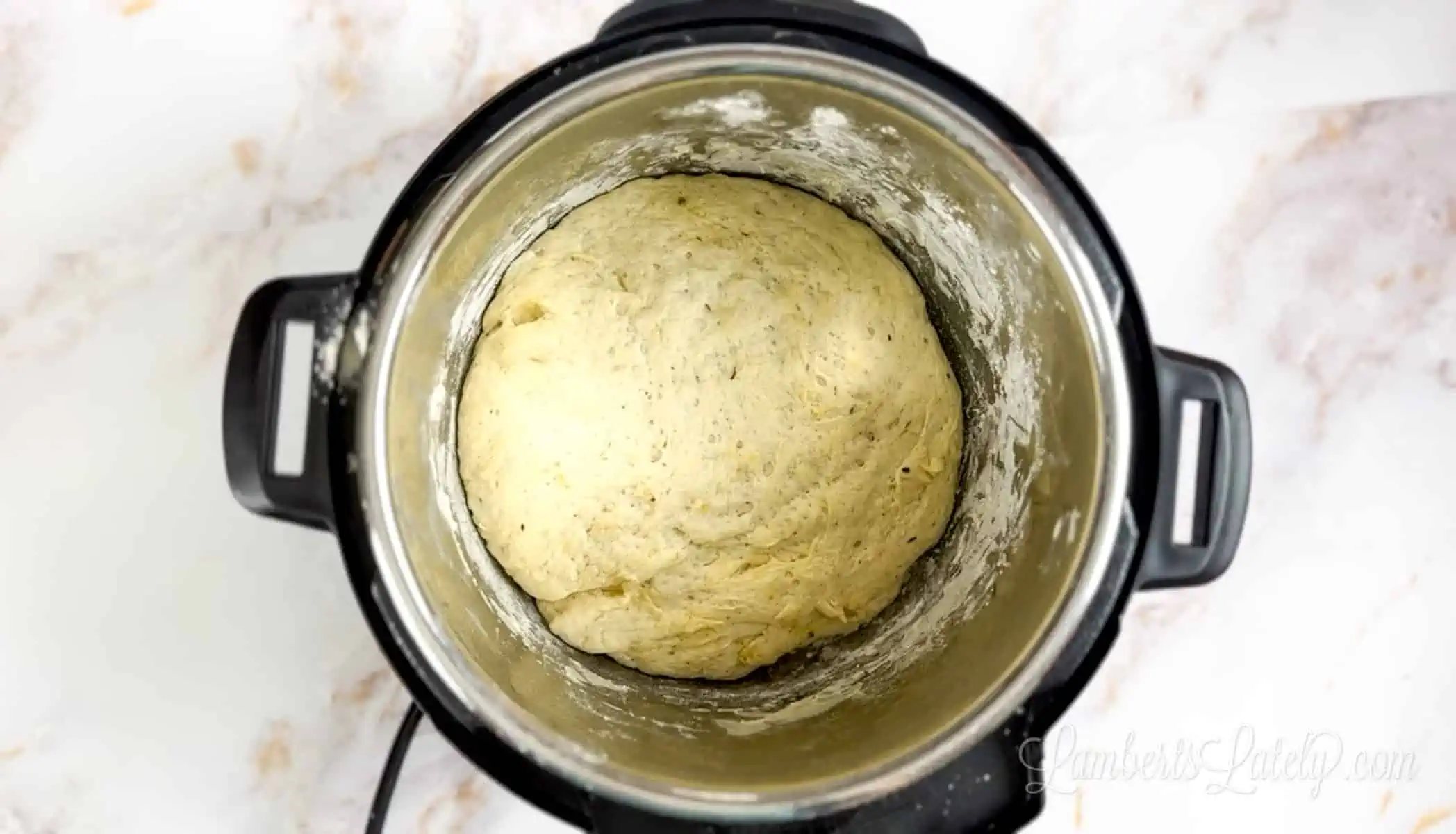 pizza dough proofed in an instant pot.