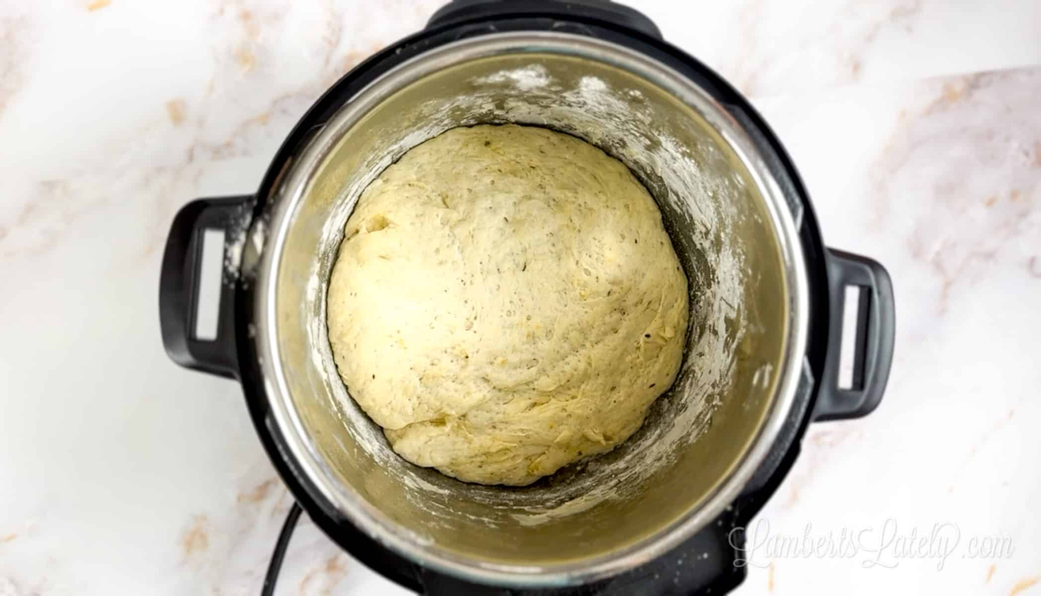 pizza dough proofed in an instant pot.