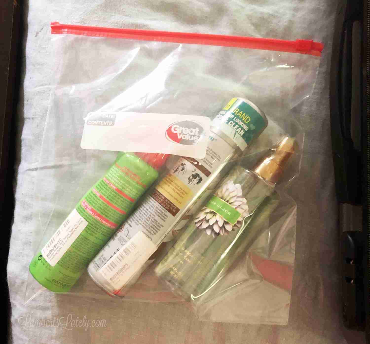 family vacation packing list - ziploc bags