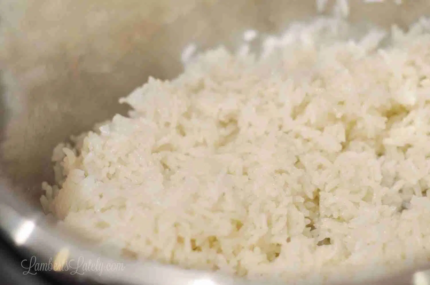 rice cooked in an instant pot.