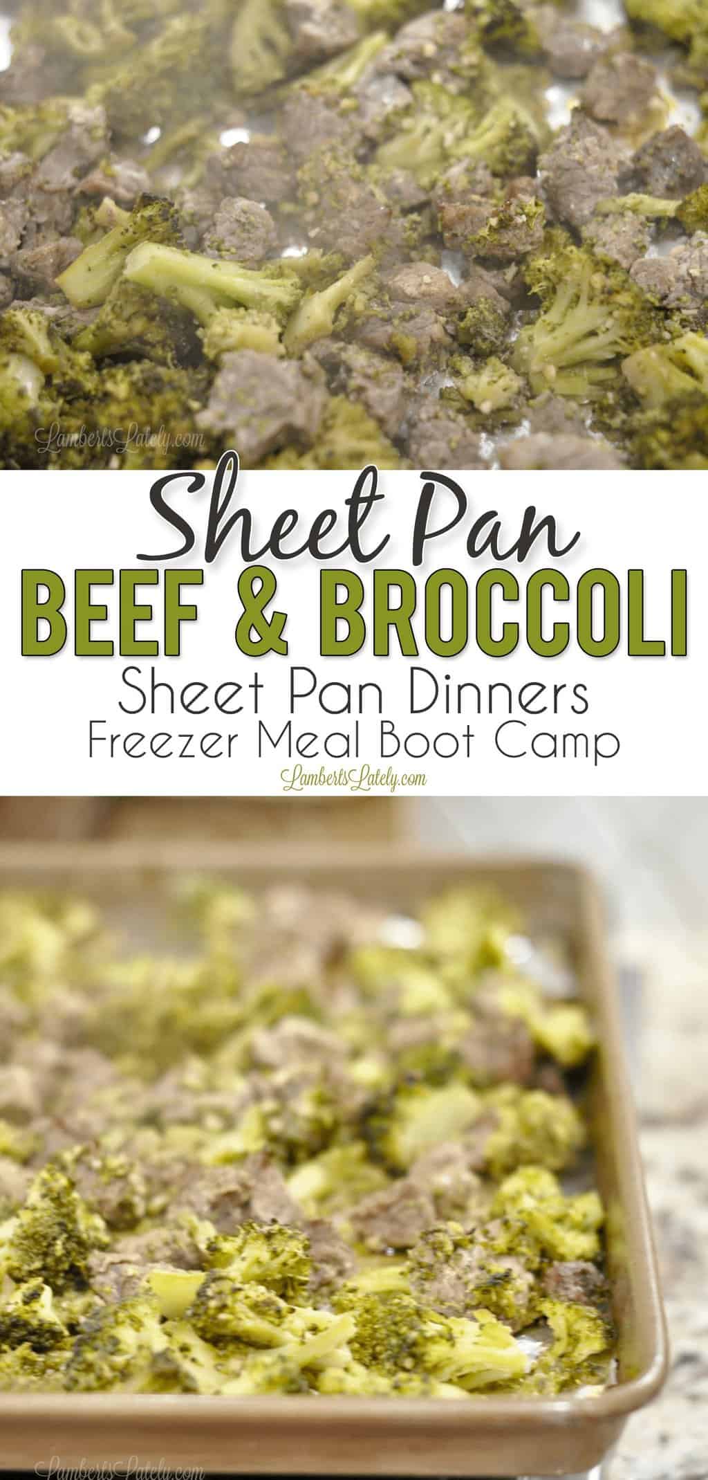 This sheet pan beef and broccoli combines pieces of steak and savory broccoli florets for a perfect flavor combination - goes perfectly over white rice! It's also a wonderful keto/low carb solution. Sheet pan dinners are such easy meals - they make for easy weeknight freezer meals too.