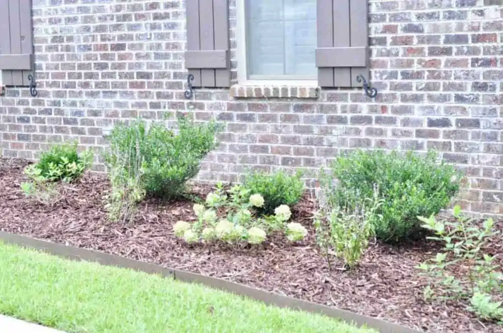 How to Make a Flower Bed