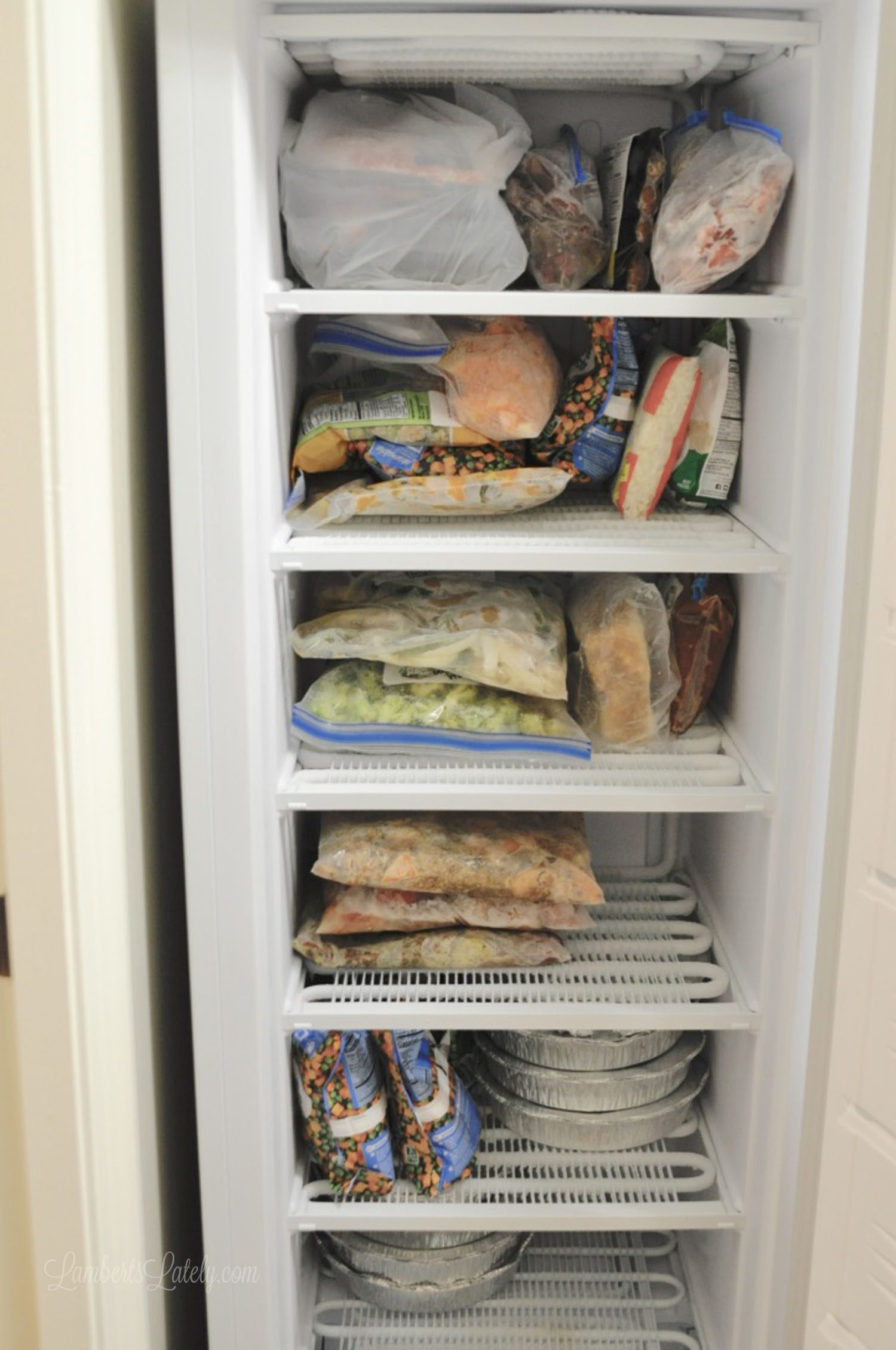 deep freezer, open, filled with freezer meals