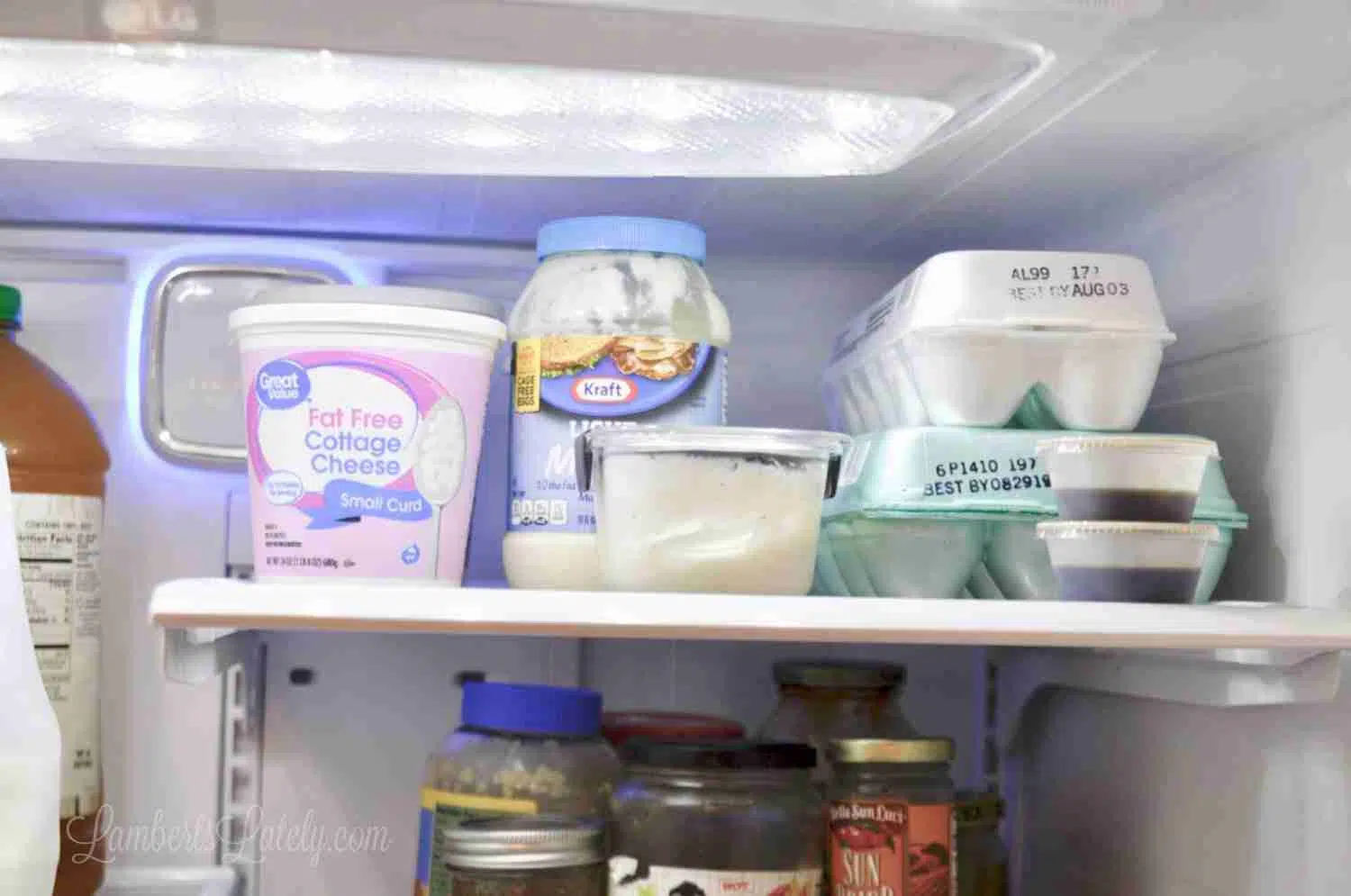 refrigerator shelf holding dairy items