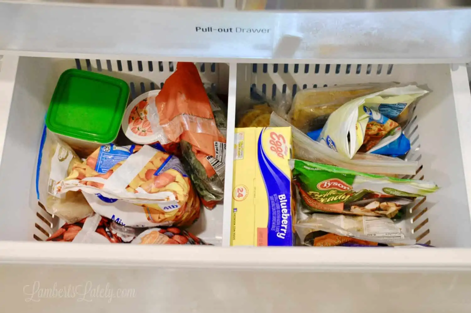 pull-out freezer with center divider.