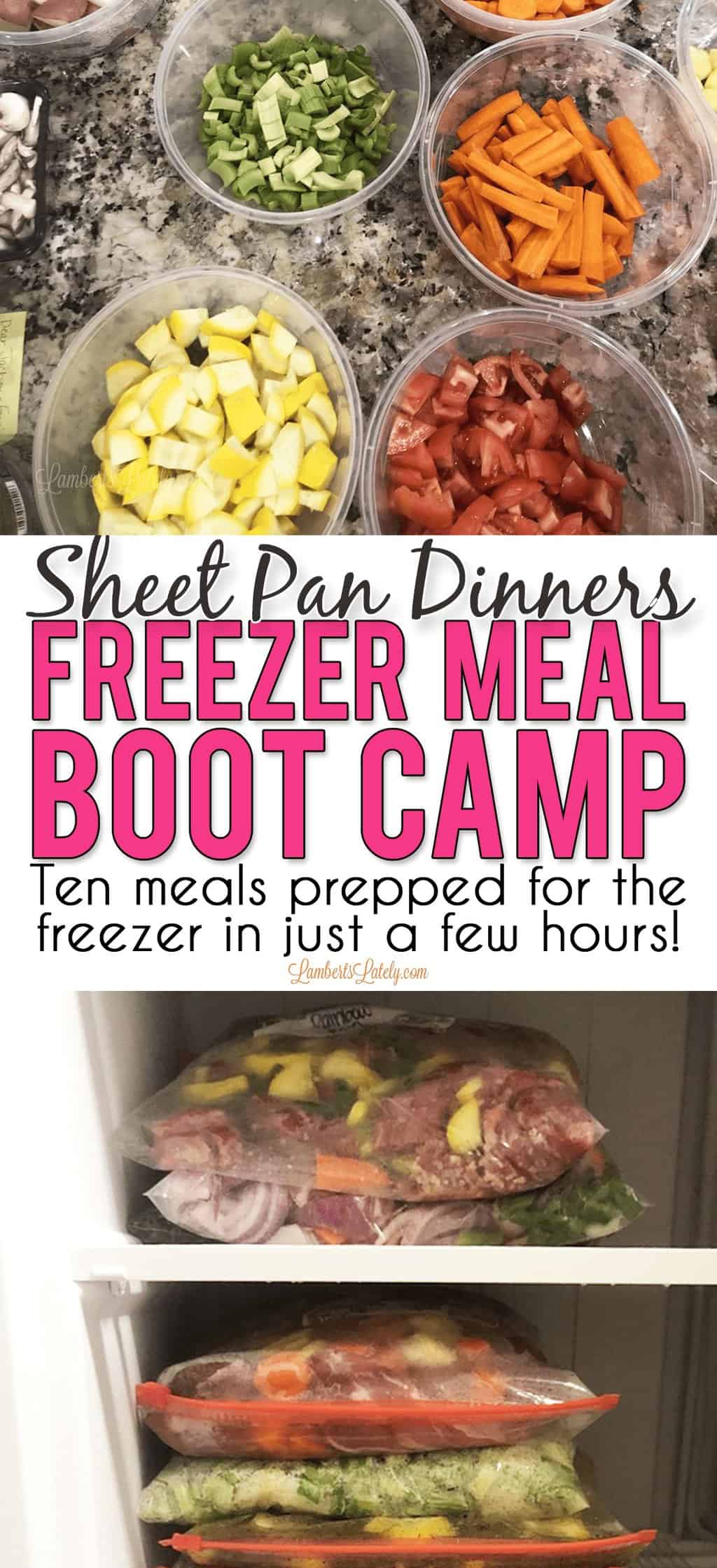 Sheet Pan Dinners Freezer Meal Boot Camp - Lamberts Lately