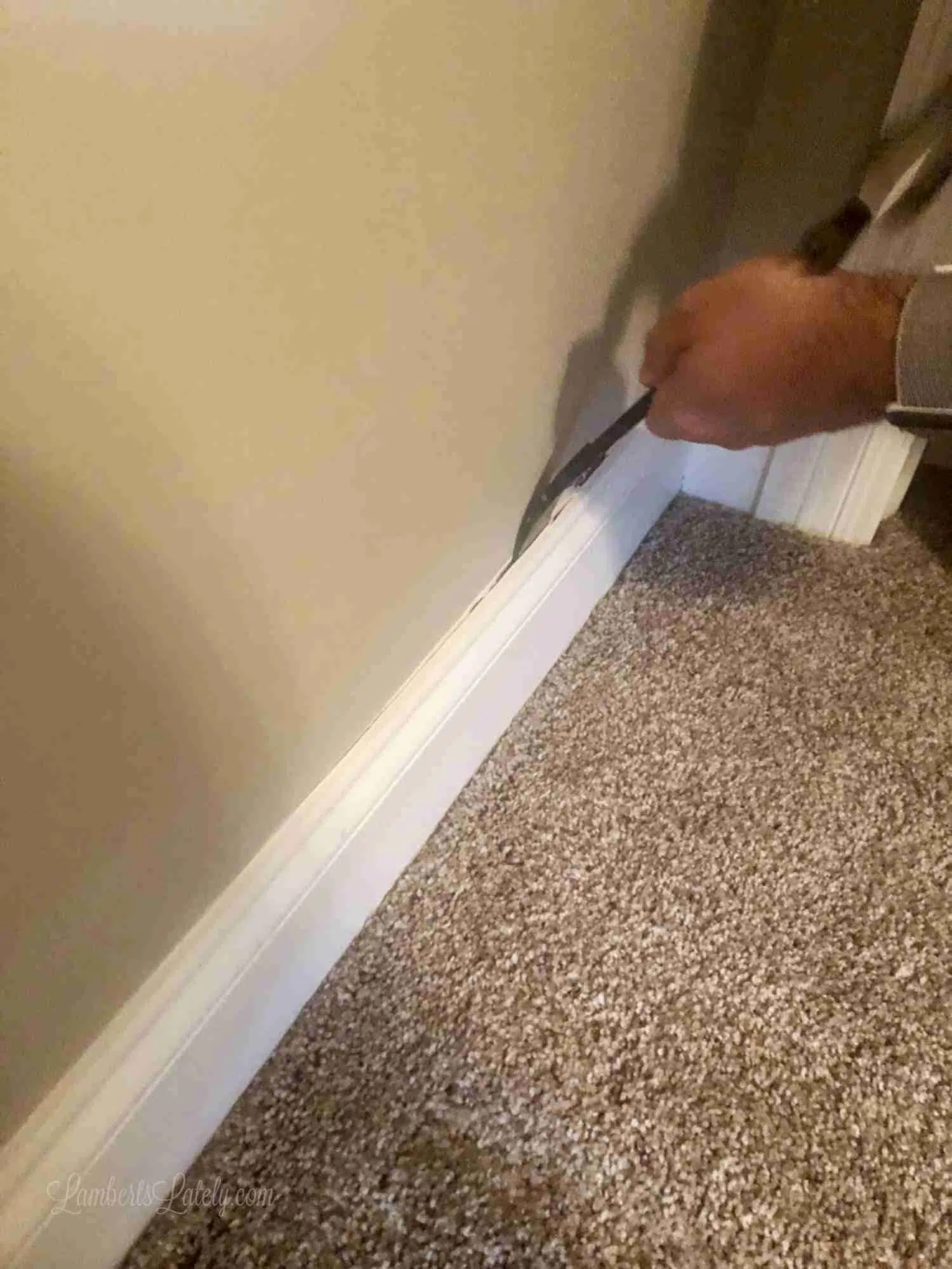 removing baseboards from a wall.