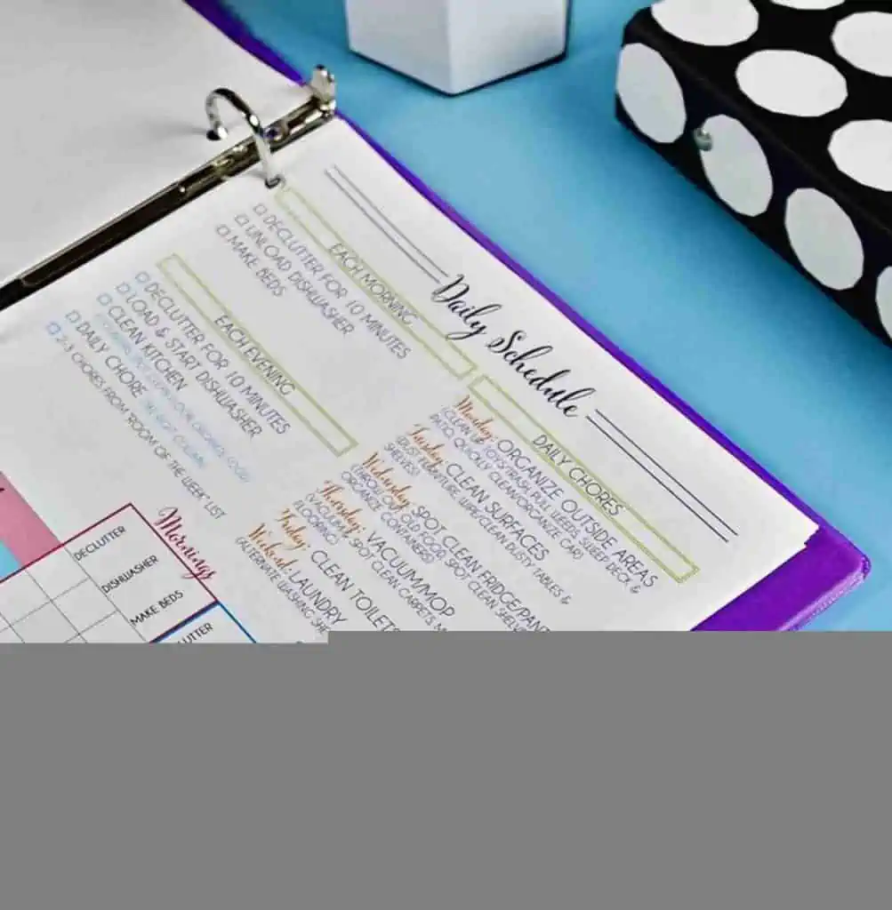 Side angle of daily cleaning schedule