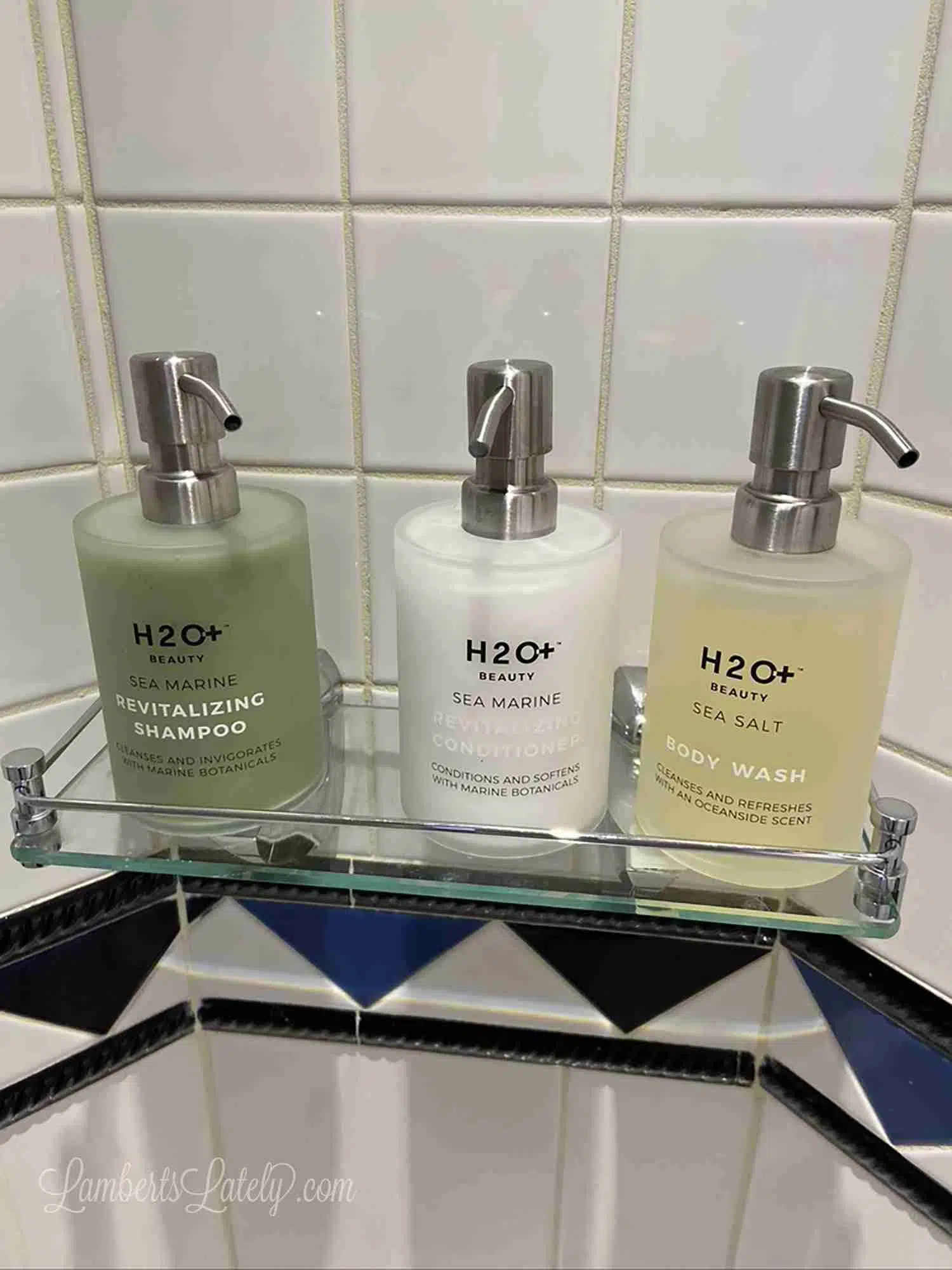 shampoo, conditioner, body wash in a shower on a disney cruise