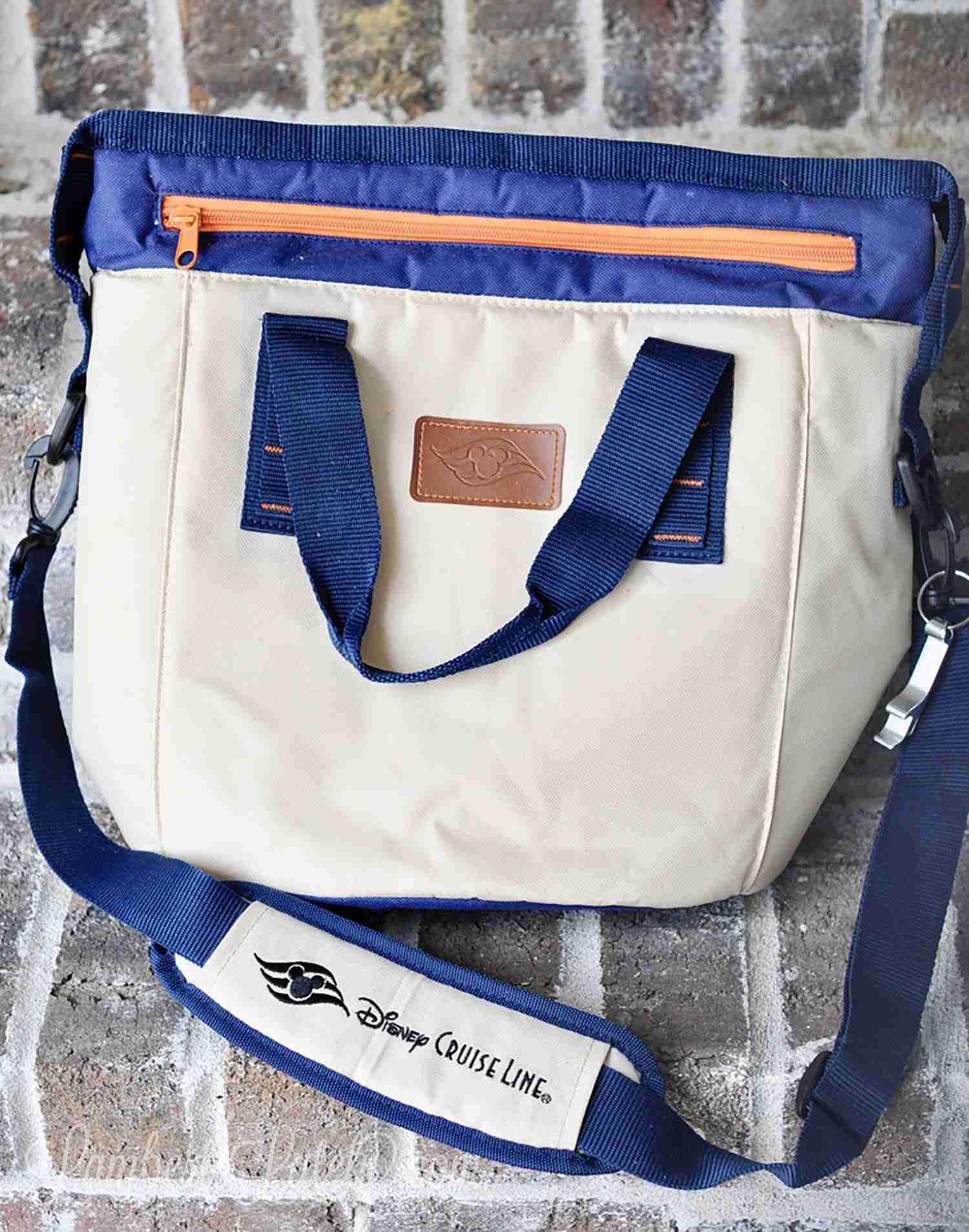 Disney cooler bag.