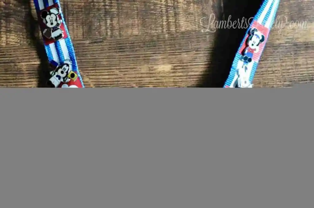 Disney lanyard with pins.