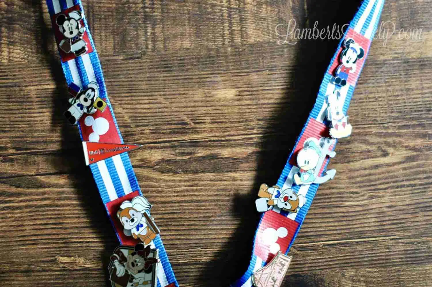 Disney lanyard with pins.