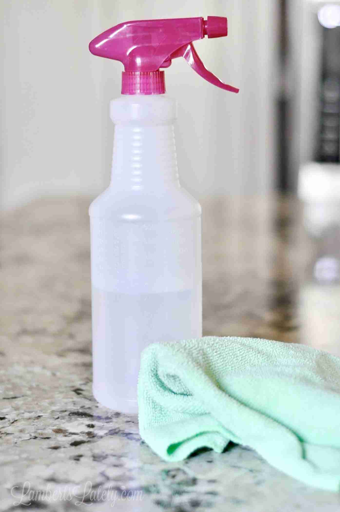 vinegar and water in a spray bottle