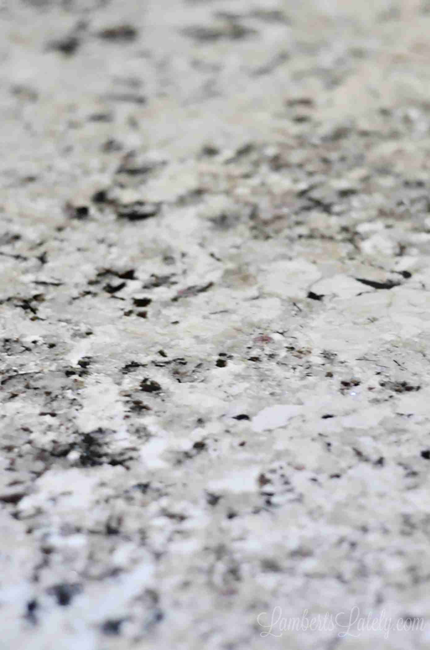 alaska white granite, with black, brown, and white flecks.