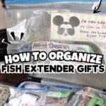 Organized fish extender gifts in clear bags with Disney-themed labels for cruise.