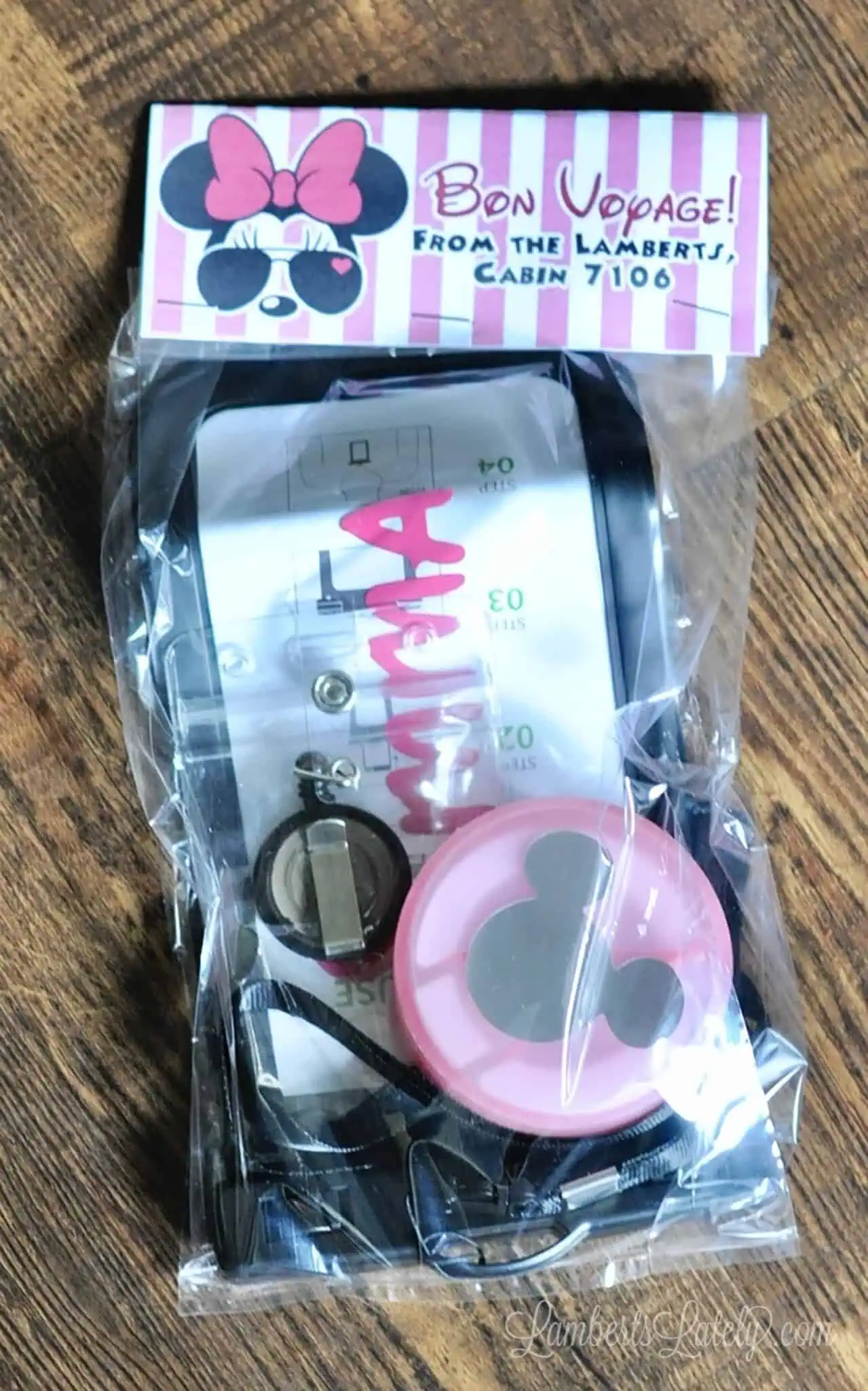 disney teen gift in a bag.
