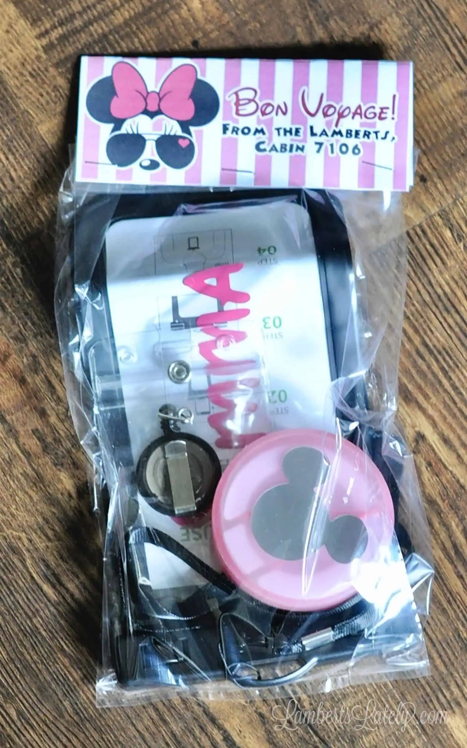 disney teen gift in a bag.