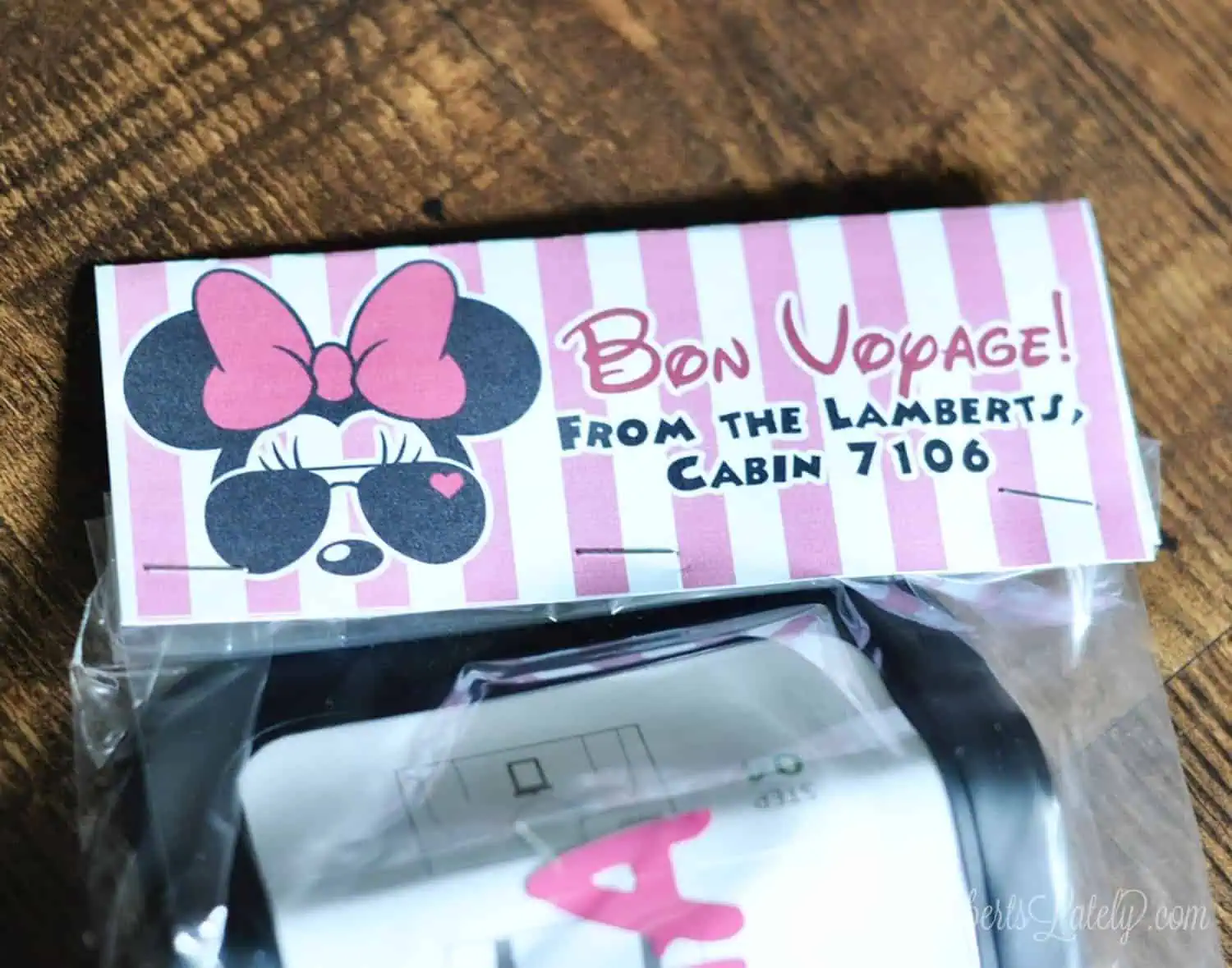 pink and white disney bon voyage tag.