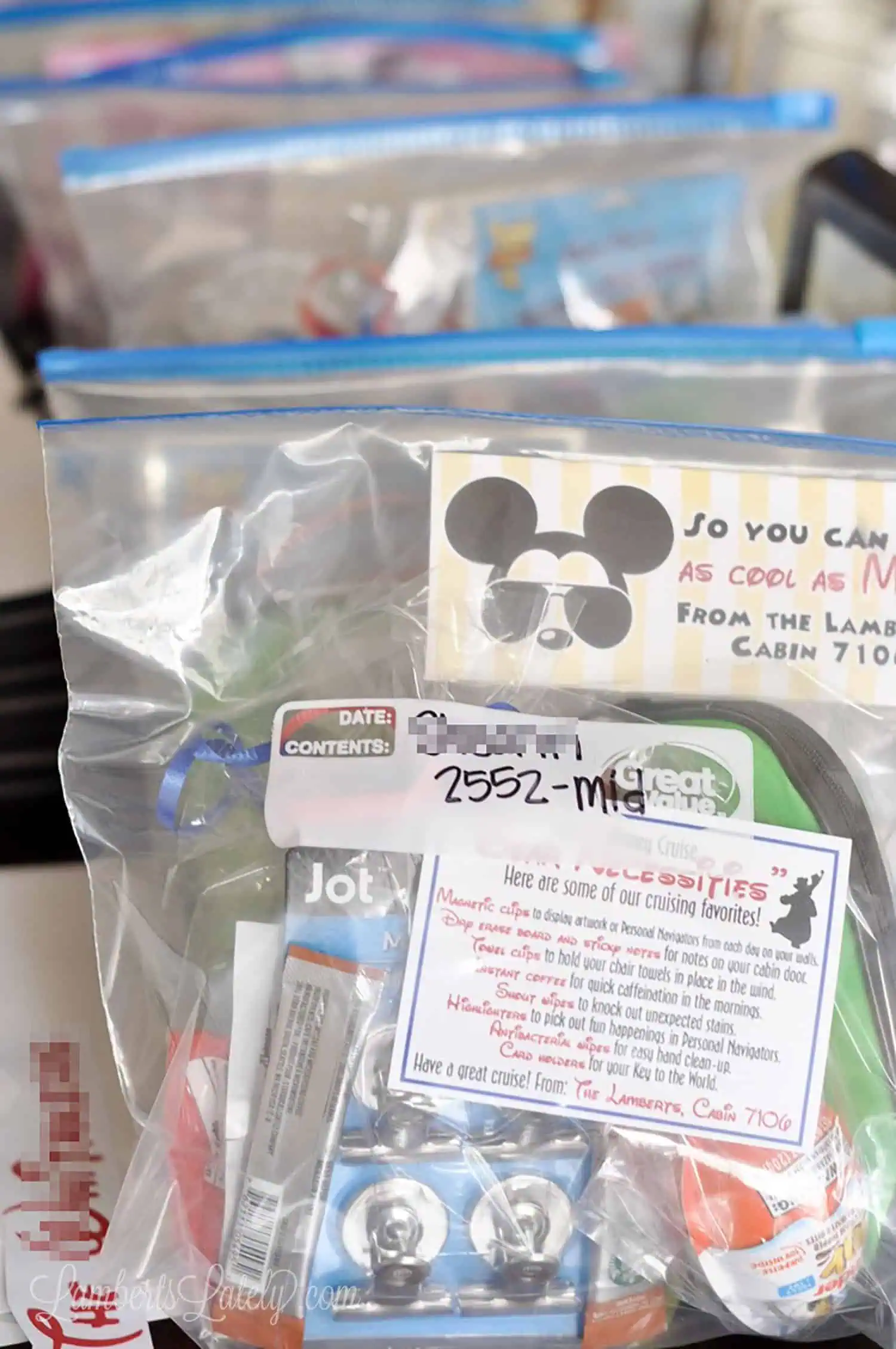 fish extender gifts organized in plastic gallon bags.