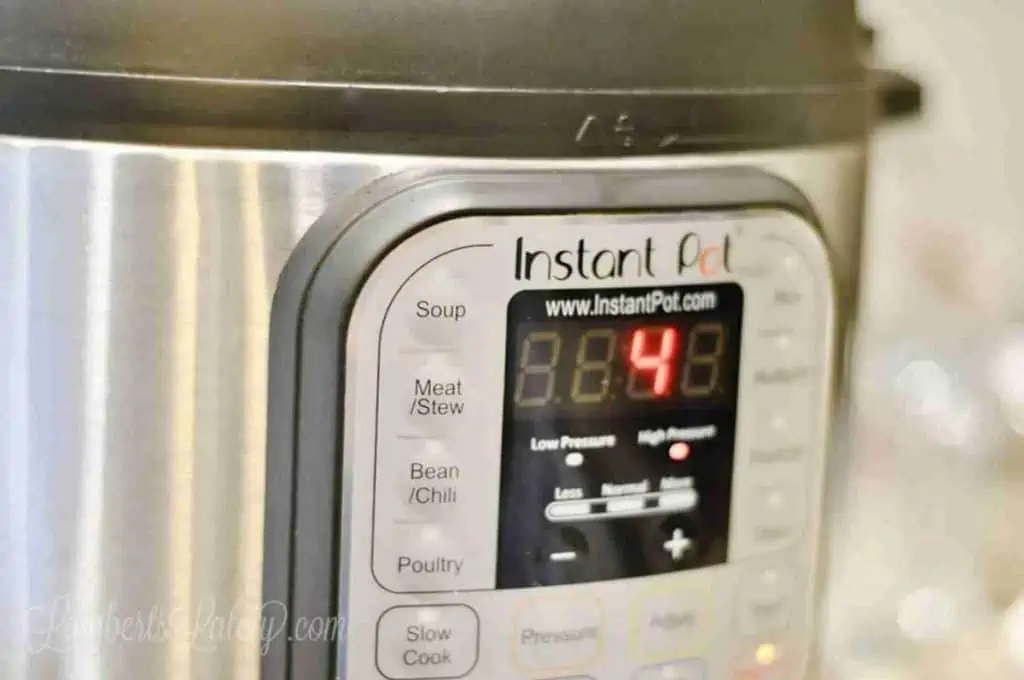 front of an instant pot