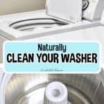 Top loading washing machine with open lid and cleaning label.