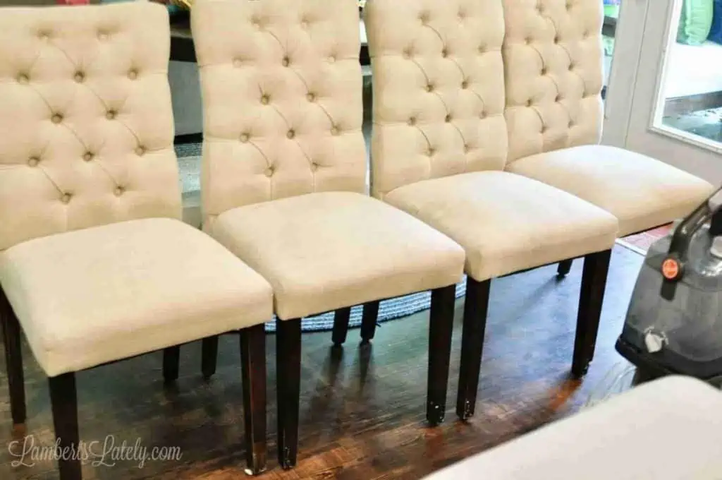 upholstered chairs lined up in a row