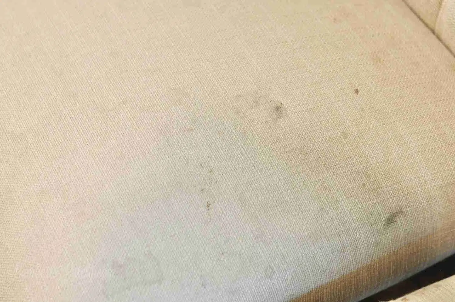 dirty upholstery on a chair