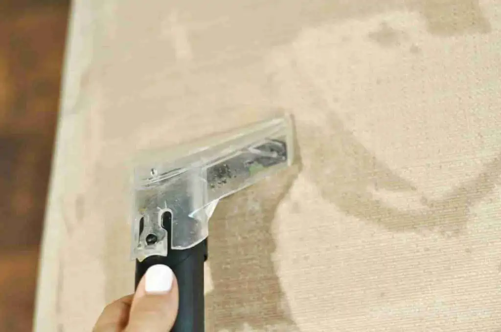 using small brush on the carpet cleaner to treat upholstery.