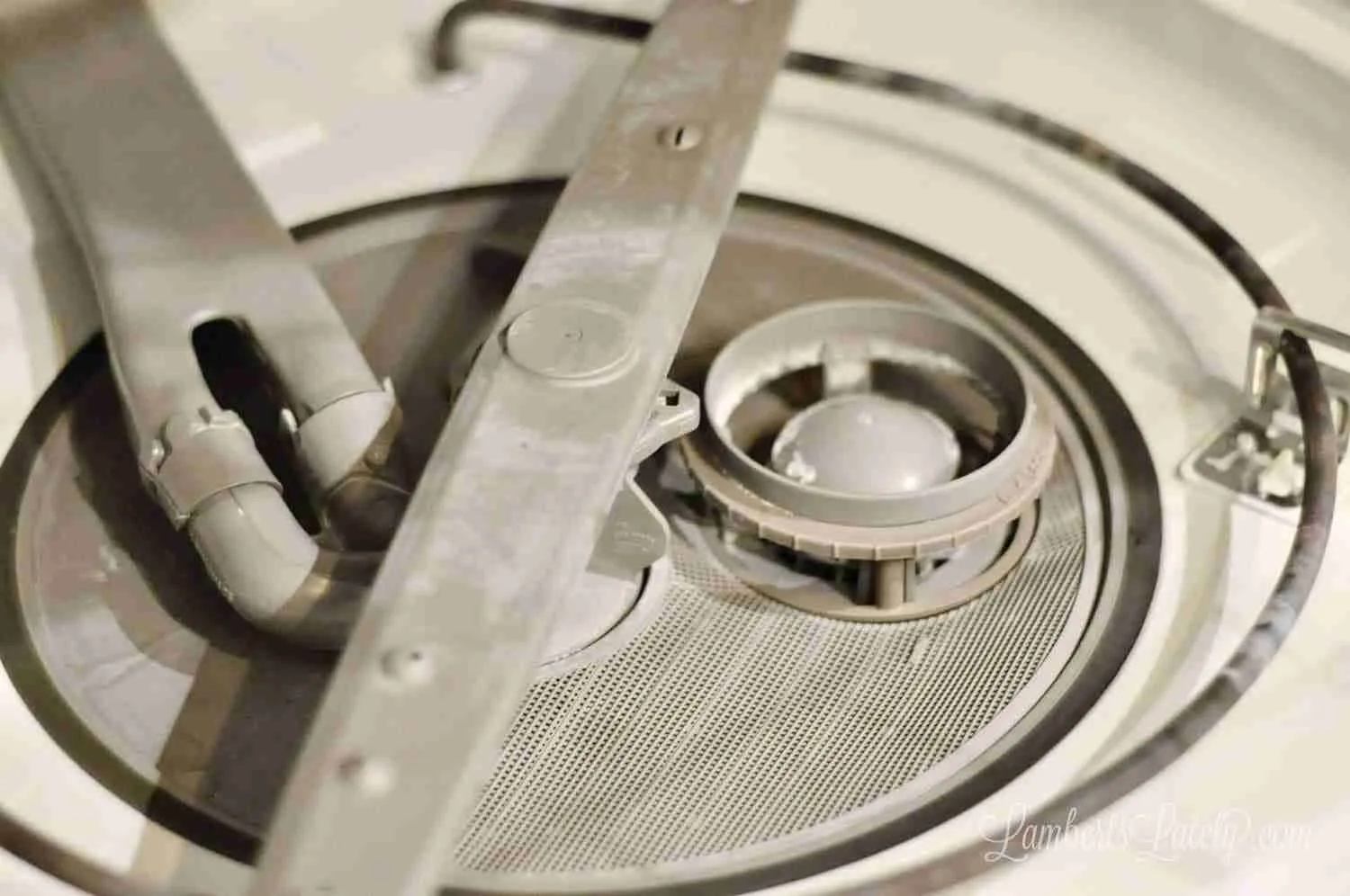 bottom of a dishwasher