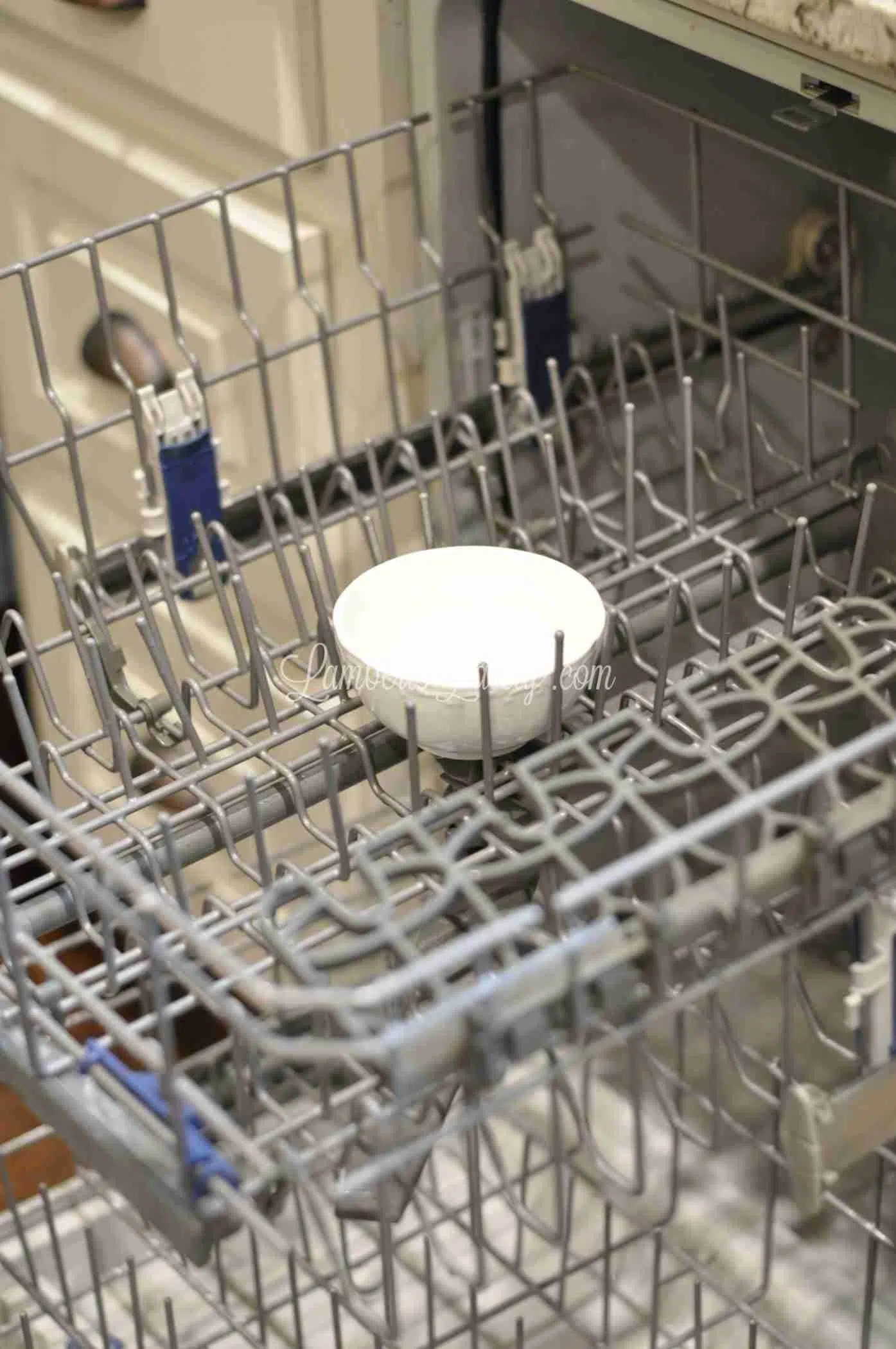 bowl of white vinegar in top of a dishwasher