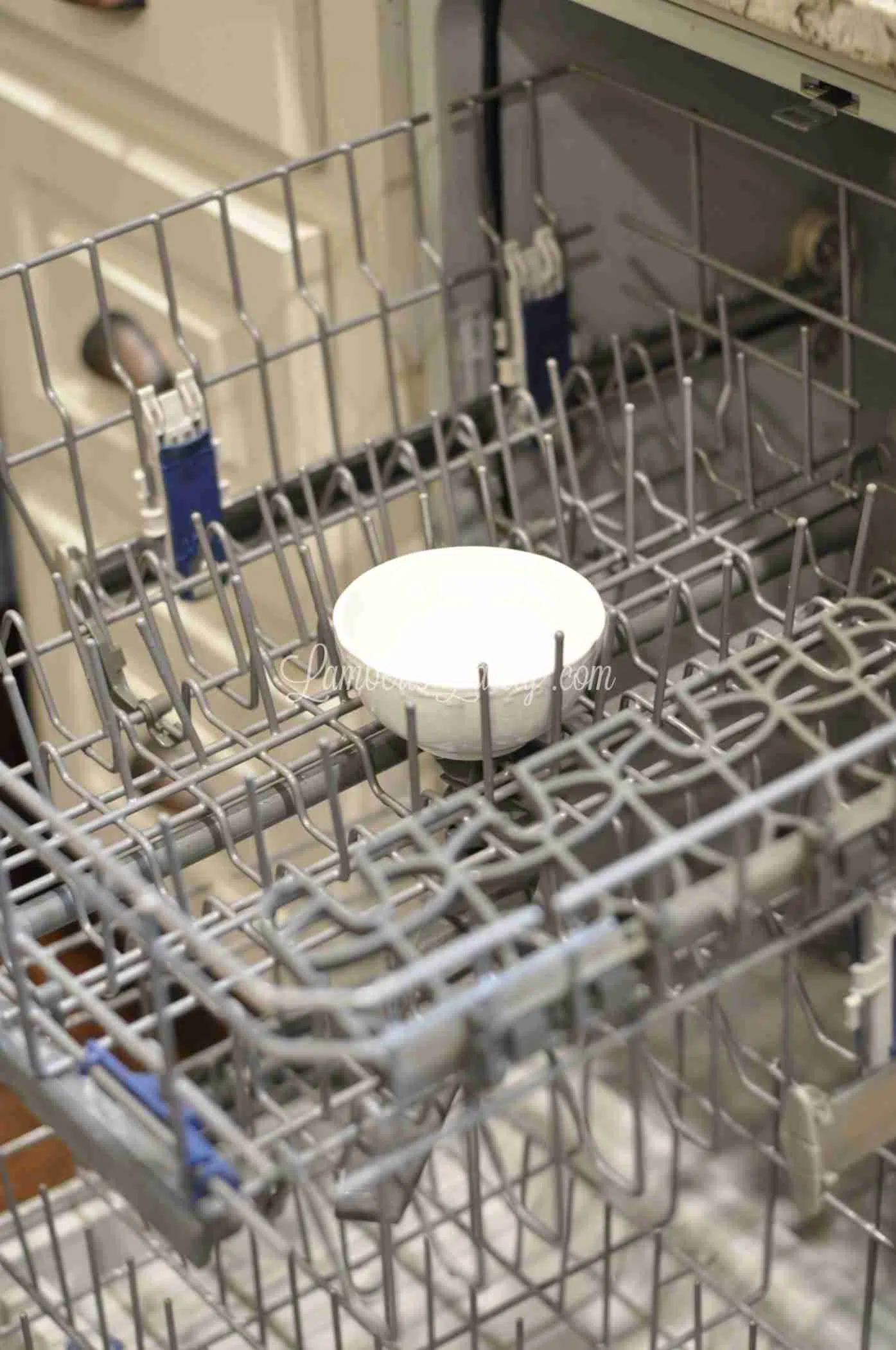 How (and Why!) to Clean a Dish Rack in the Dishwasher