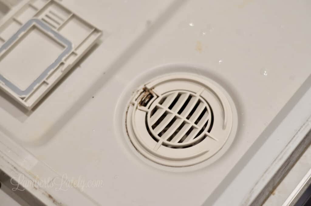 door of a dishwasher - vent and detergent dispenser