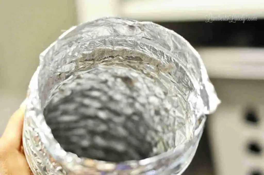 inside of a dryer vent hose