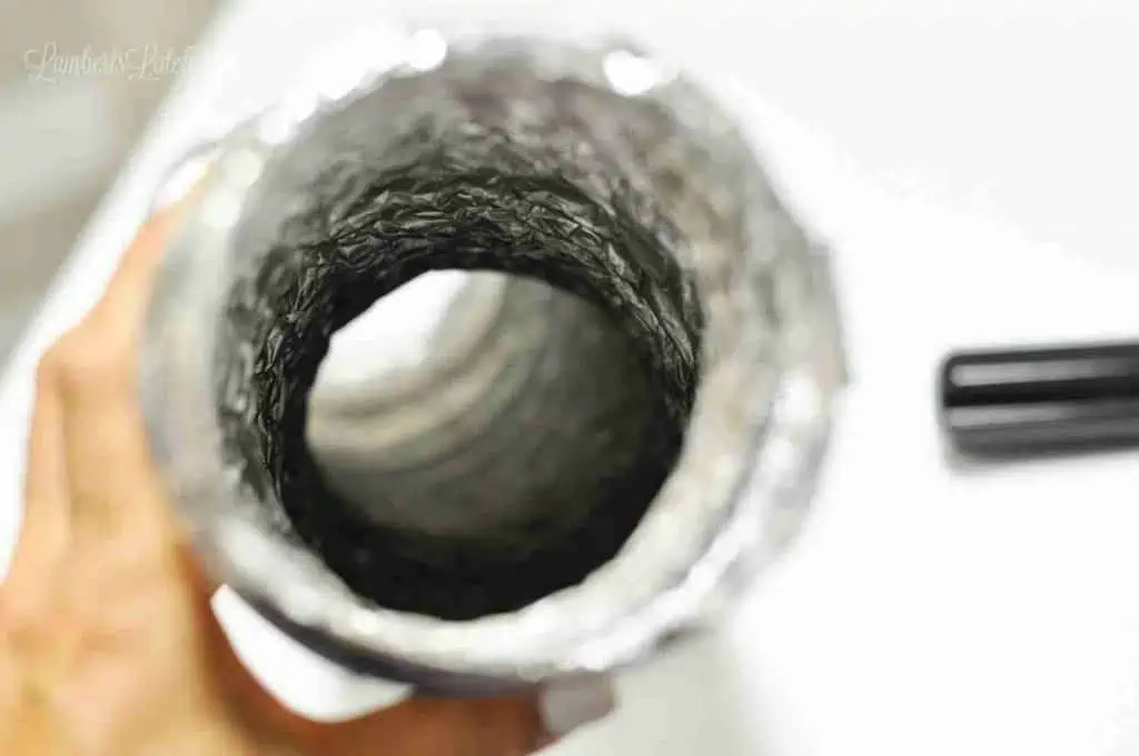 inside of a dryer vent hose