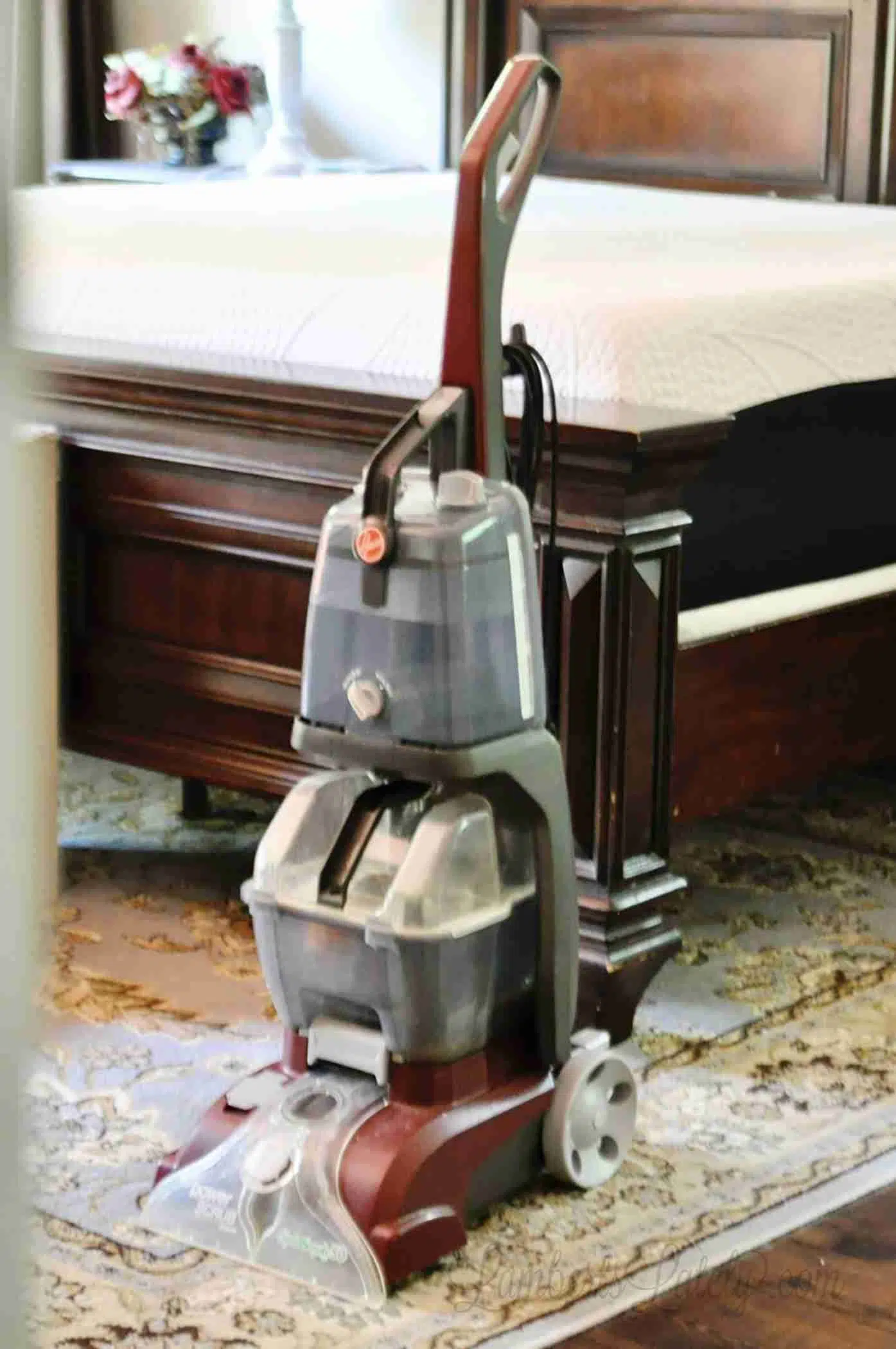 carpet cleaner in front of a bed