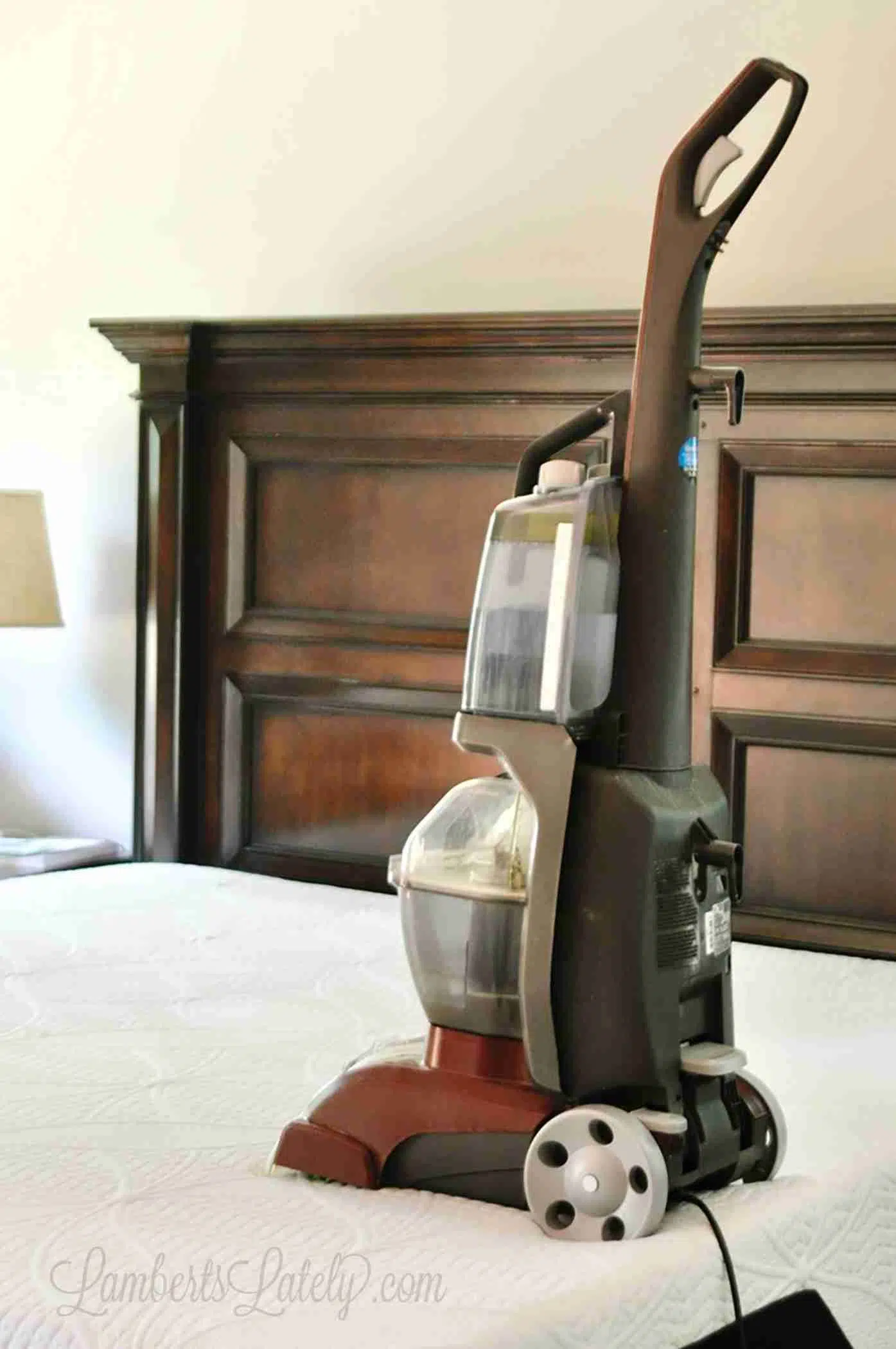 carpet cleaner on top of a mattress